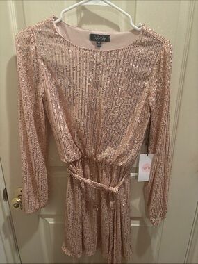 Cynthia Rowley Pink Rose Sequin Long-Sleeve Mini Dress, size xs, falls on knees